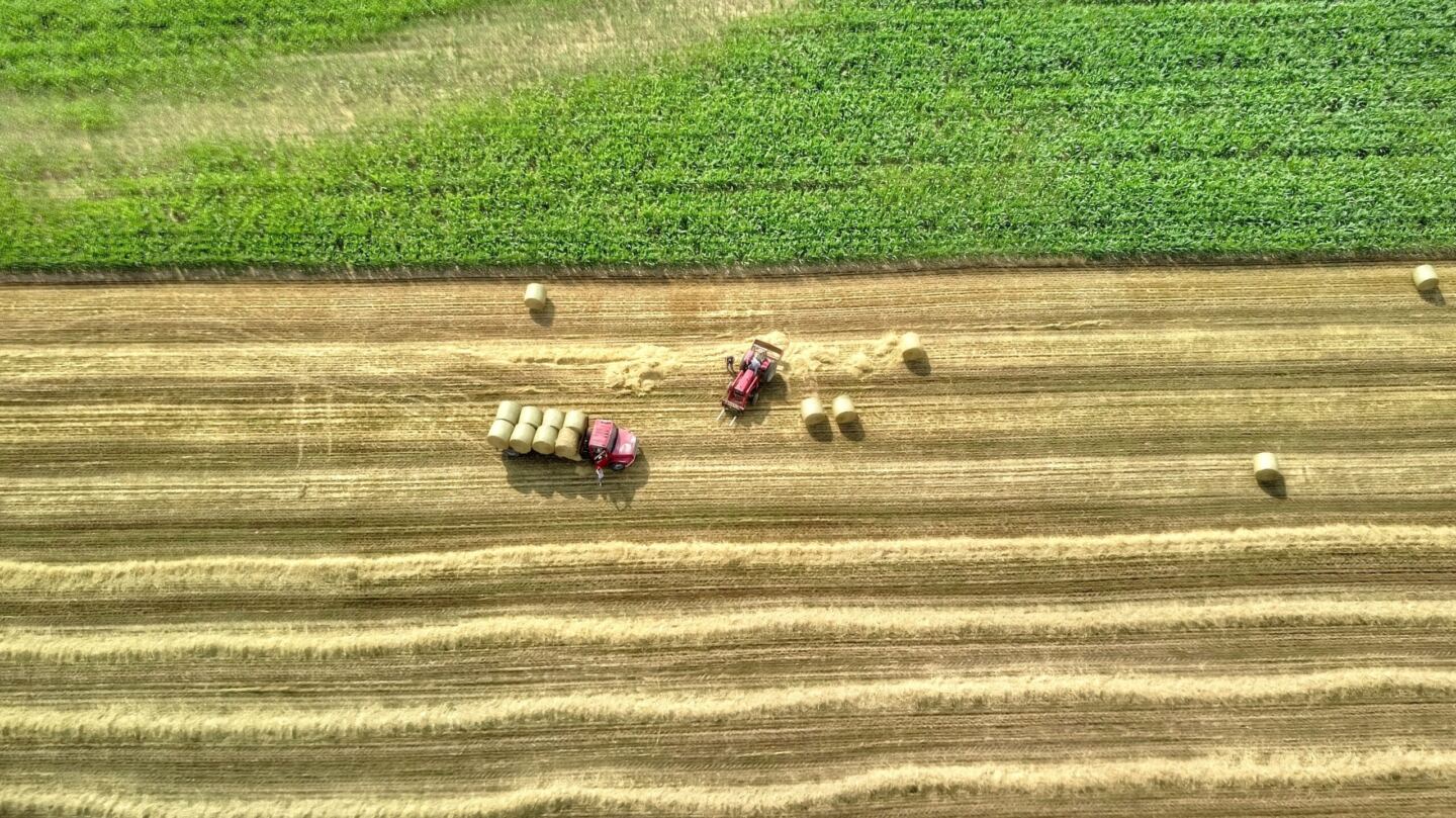 Agriculture and forestry. Мультиспектральная съемка полей. Cultivation Land. Agriculture on Globe.